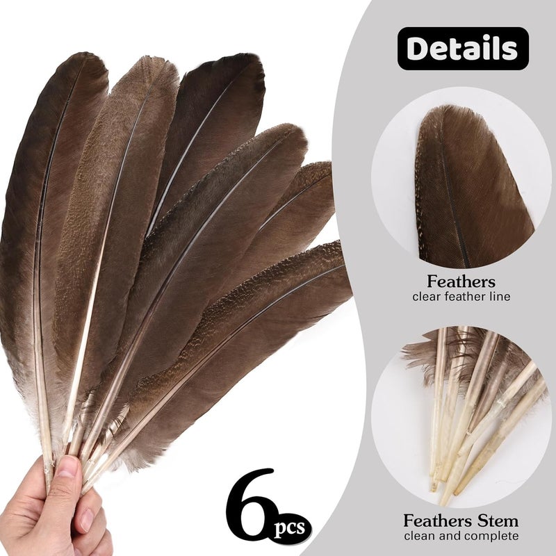 MehelloFeather Store Peacock Wing 11-14 Inch Natural Feather 6 Pcs Crafts for DIY Home Decoration Wedding Centerpieces Party Supplies - Image 3